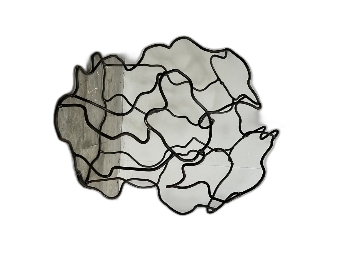 Staaldraad Sculptuur